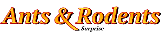 Surprise Ant Exterminator & Rodent Control Company Logo